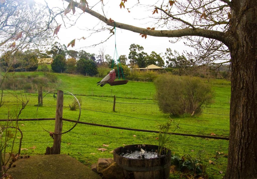 Amble At Hahndorf Bed & Breakfast Room photo