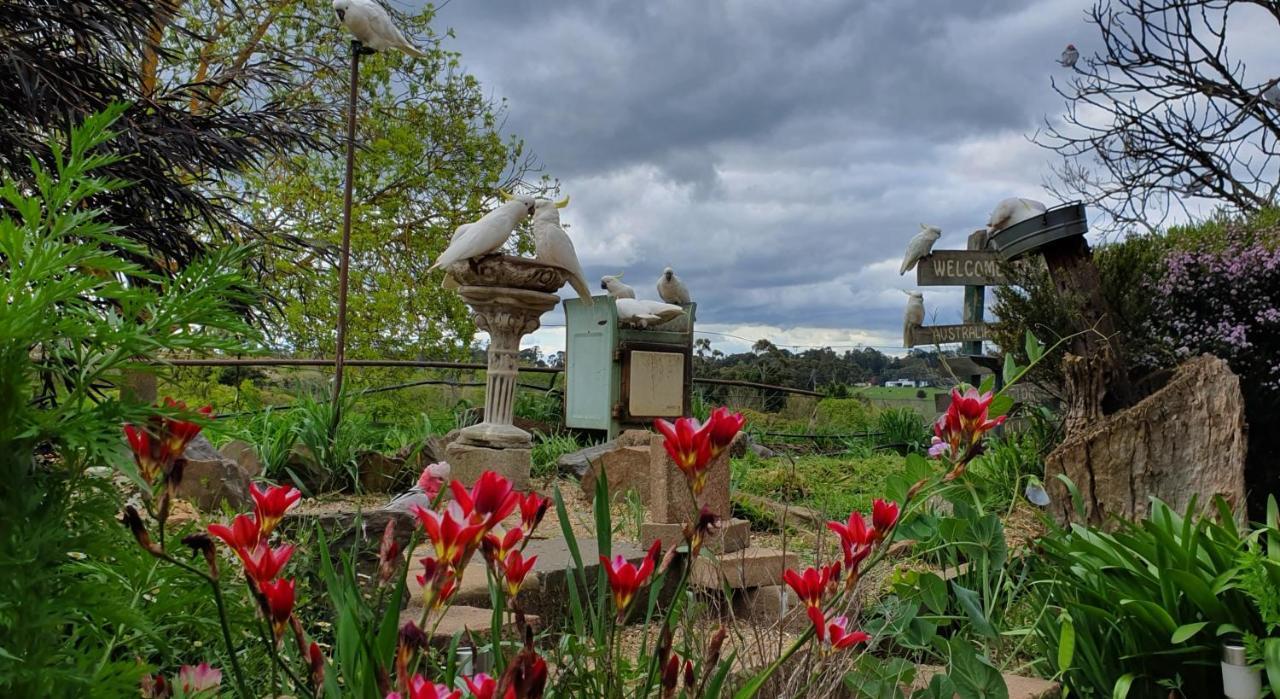 Amble At Hahndorf Bed & Breakfast Exterior photo